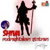 About Shiva Rudrashtakam Stotram Song